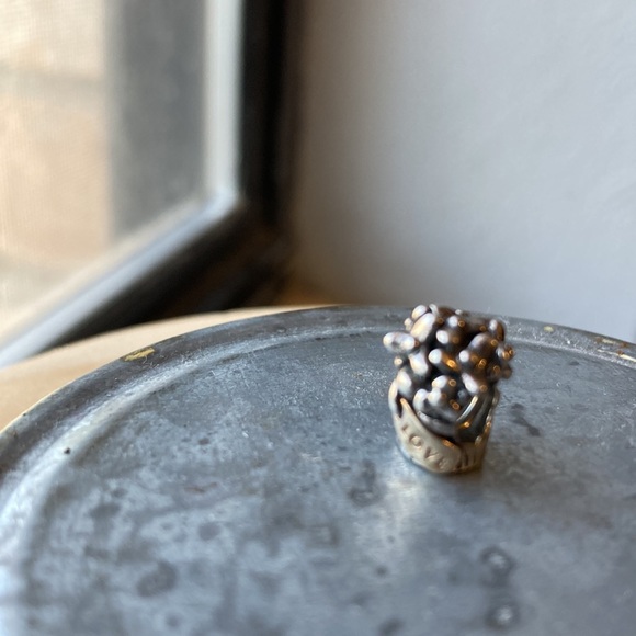 Pandora Flower Basket Charm - Picture 3 of 10